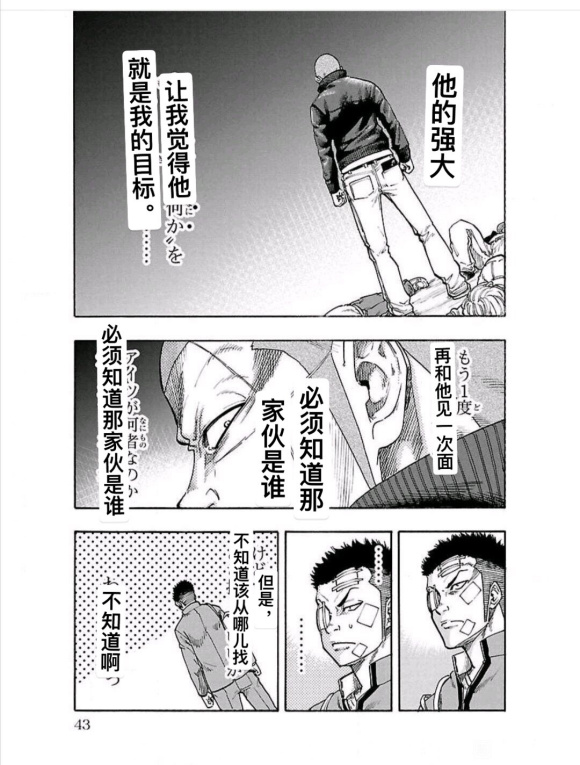 第43页