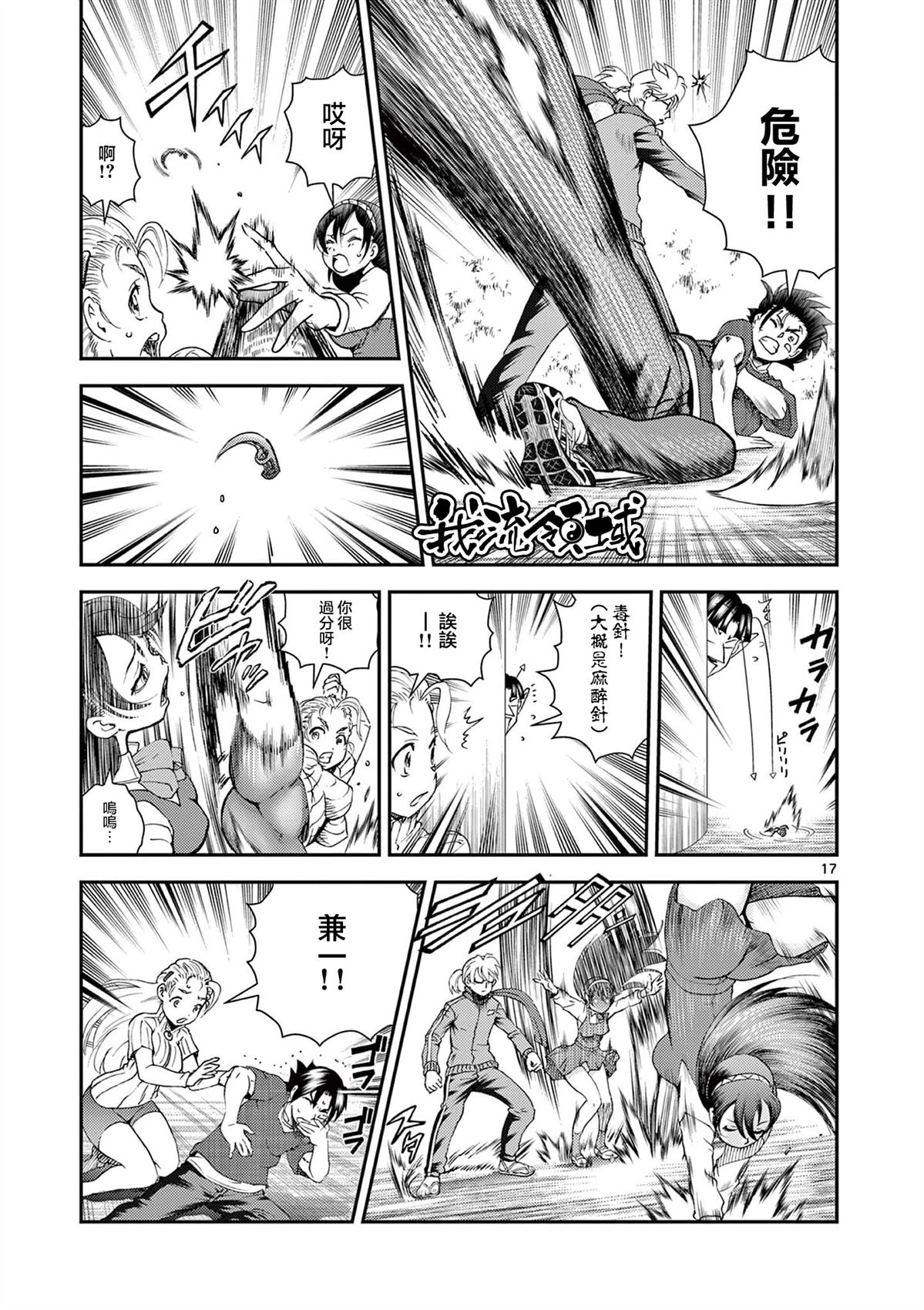第17页