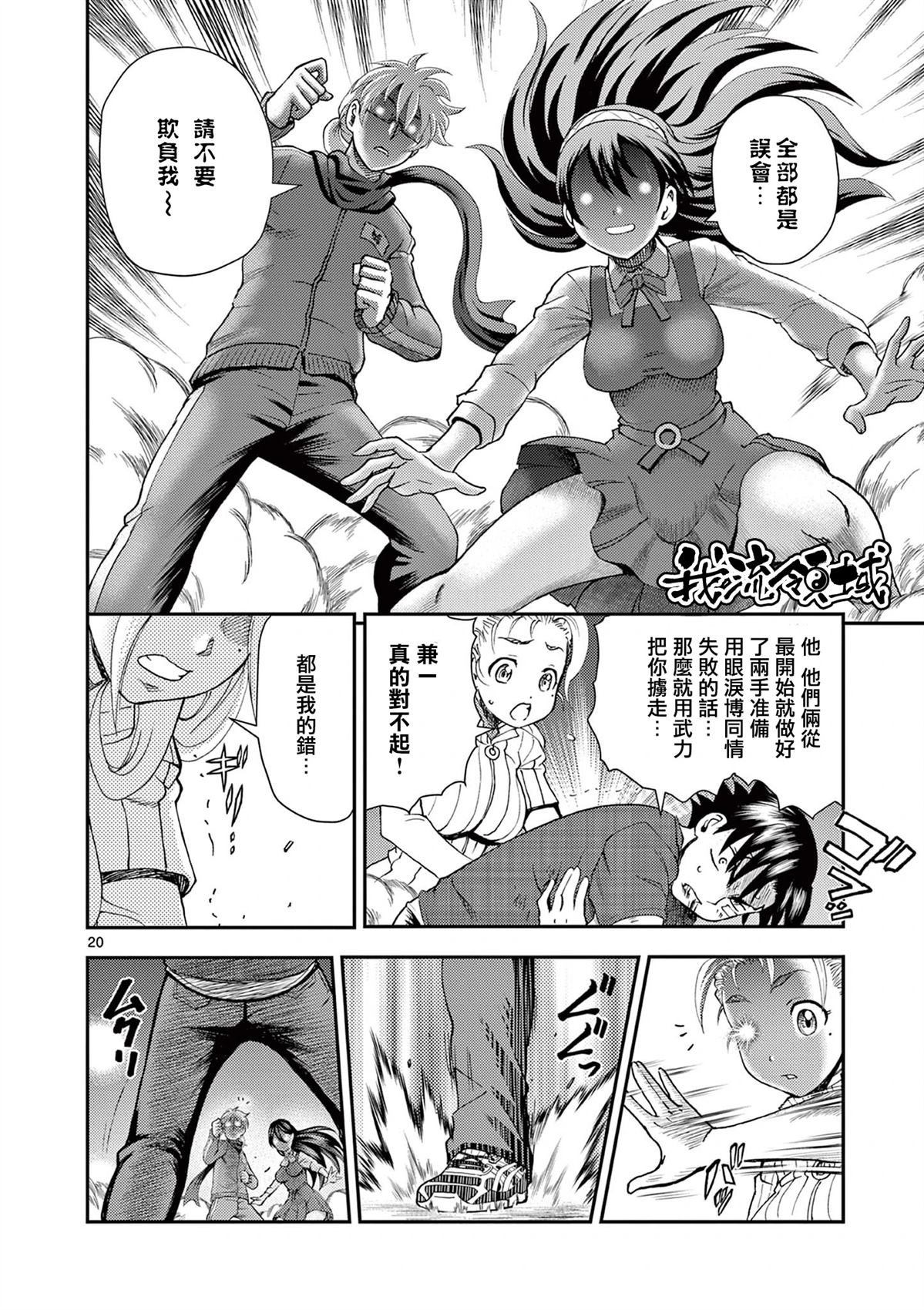 第20页