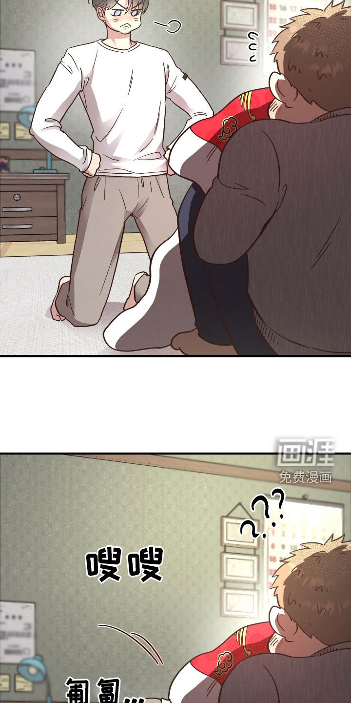 第43页