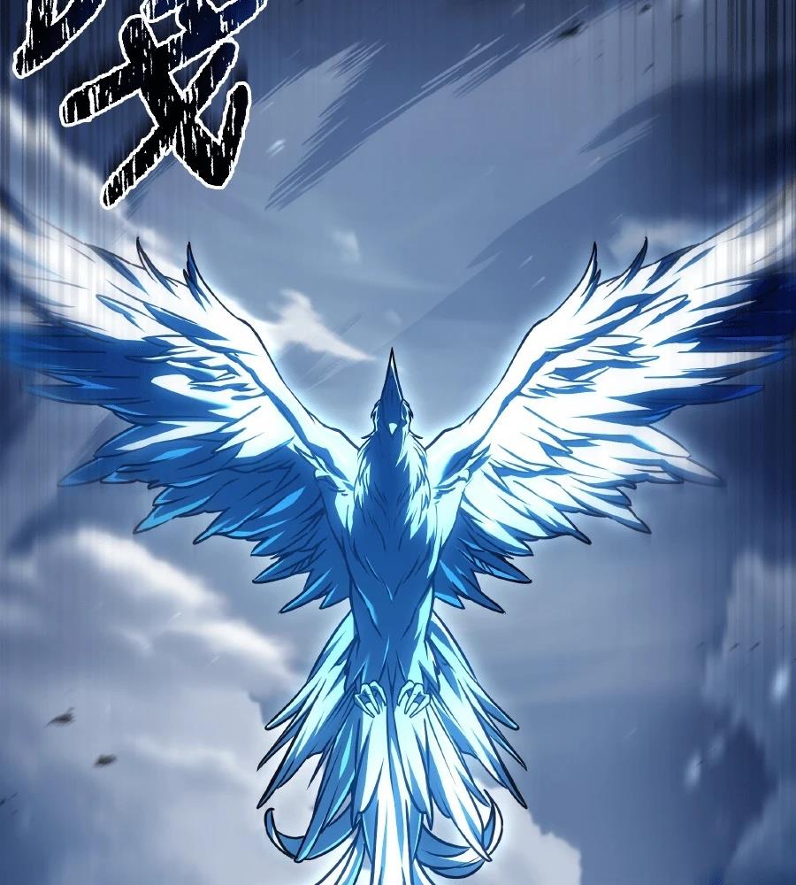 第243页